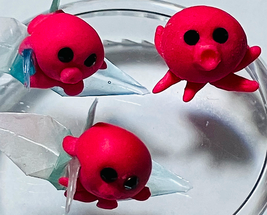 タティングレースの写真